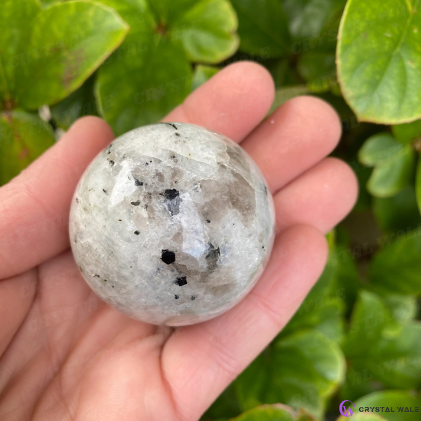 moonstone ball